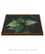 Imagem do Quadro Samambaia 05