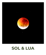 Categoria 10