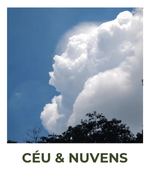 Categoria 11