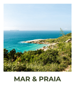 Categoria 4