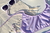 Bikini Olivia T.L Lila en internet