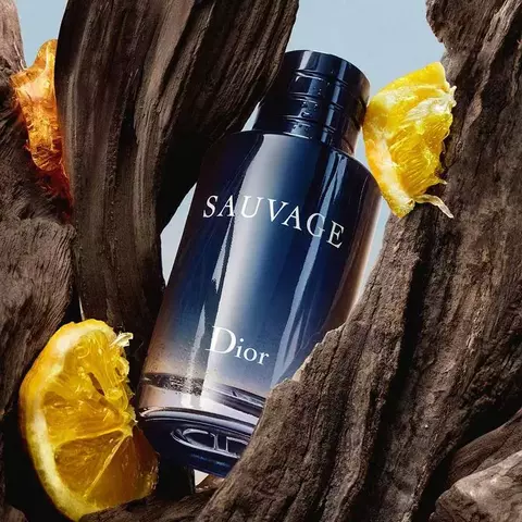 Sauvage Dior Eau de Toilette 100ml