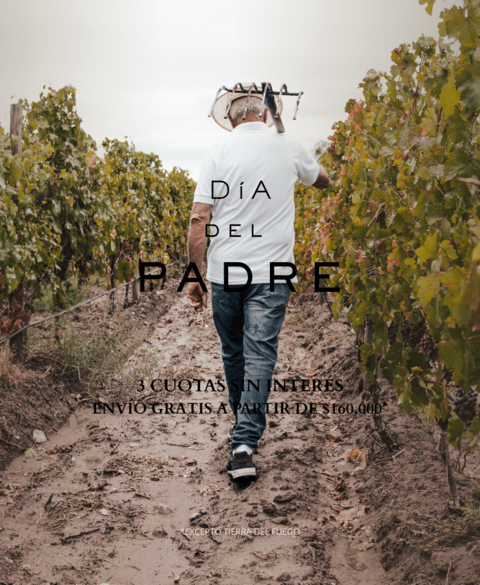 Carrusel Bodega Familia Blanco