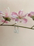 Aros Argollas - comprar online