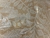 Cortina Blackout - Estampado 260x250 Bege