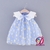 Imagem do Vestido de Margaridas