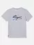 Camiseta Lacoste Masculina Sport Cotton Jersey Logo Cinza Mescla - LM MULTIMARCAS