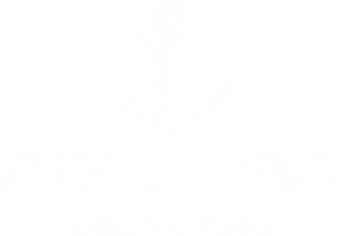 Popa de ferro