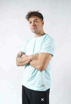 REMERA LISA - comprar online