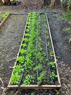Huerta Agroecológica - Mburucuyá. Vivero de plantas nativas