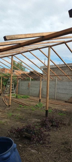 Invernaderos a Medida - Mburucuyá. Vivero de plantas nativas