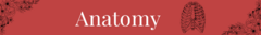 Banner de la categoría Productos