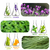 Ingredientes de aceites escenciales, eucalipto, menta, lavanda, aceite de arbol de te, hierba de limon