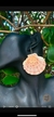 Brinco Concha de Yemanja Shell Marrom - Auô Asé Biojoias