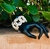 PulseiraTrama de Búzios Naturais - comprar online