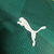 Camisa do Palmeiras Jogador 23/24 - Masculina Puma - Verde - INVICTUS SPORT