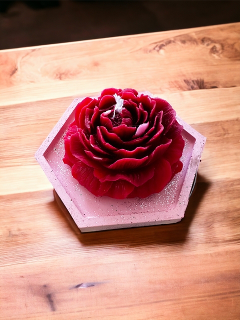 Carrossel 1