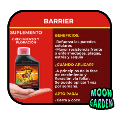 Imagen de Combo Chico Linea Completa Top Crop