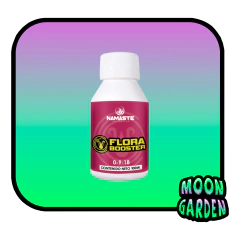 Flora Booster 100 ml - comprar online