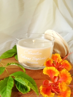 Colinas Tropicais - Bergamota
