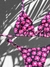 Bikini Cortininha Regulável Pop Pink - loja online
