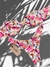 Bikini TQC Faixa com Calcinha Asa Delta Guepardo - comprar online