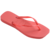 Chinelo Sandália Havaianas Slim Square Coral Tropical 7015270 414830192603 - comprar online