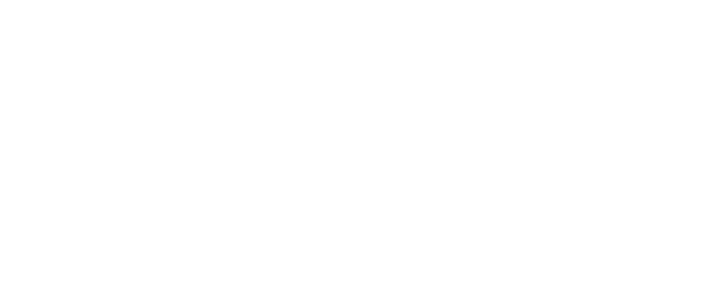 FitnessChic