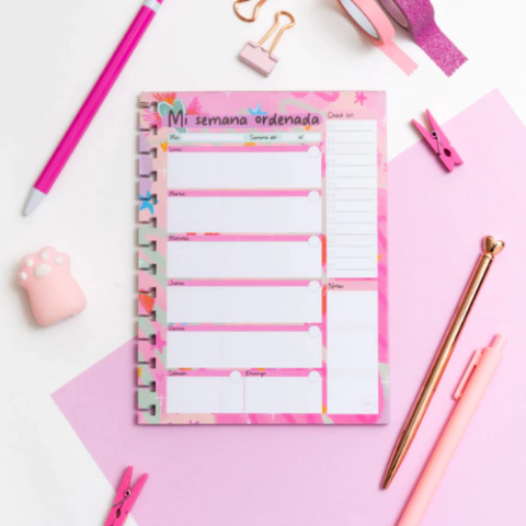 REPUESTO ORGANIZADOR CUADERNO INTELIGENTE - PUNTO CERO - comprar online