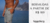 Imagem do banner rotativo Boardsco