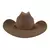 Chapéu country Lã castor na internet