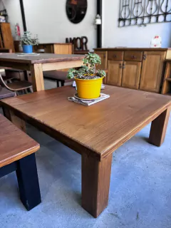 mesa ratona