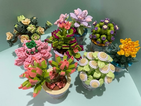 Banner de la categoría Macetas Bonsai