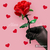 Rosa tipo lego en internet
