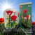 Rosa con jardín miniatura tipo Lego - comprar en línea