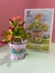 Cotyledon Tomentosa Harv - comprar en línea