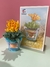 Bonsai Bergeranthus - comprar en línea