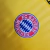 Camisa Bayern de Munique Edição especial 23/24 - Torcedor Masculina - Amarela com detalhes em verde e preto - GPS Sports | CAMISAS DE FUTEBOL E NBA