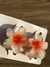 Parzinho presilha flower na internet