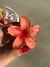 Presilha de flor na internet