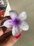 Presilha de flor - comprar online