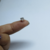 ENFEITE APLIQUE TIPO TACHINHA COM GARRA 5/50/1 5 MM LATÃO NIQUELADO PACOTE COM 1000 UNIDADES - comprar online