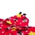 Roupão Estampado com Capuz Joaninha Baby Joy - loja online
