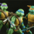 Tortugas Ninjas