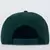 Boné New Era Palmeiras Palestra Italia 950 Verde Escuro - comprar online