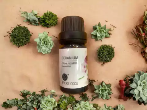 Aceite Esencial - comprar en línea