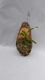 ONCIDIUM BALDIN MADEIRINHA