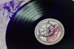 Germinar "Errante" LP - comprar online