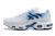 Nike Air Max Plus TN