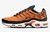 Nike Air Max Plus TN en internet